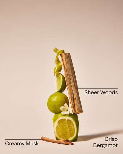 Crema Corporal Fresh Musk - Bath and Body Works