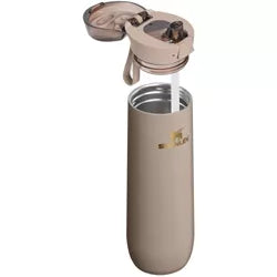 Stanley 20 oz. Flowstate Spring Bottle - Fall Refresh