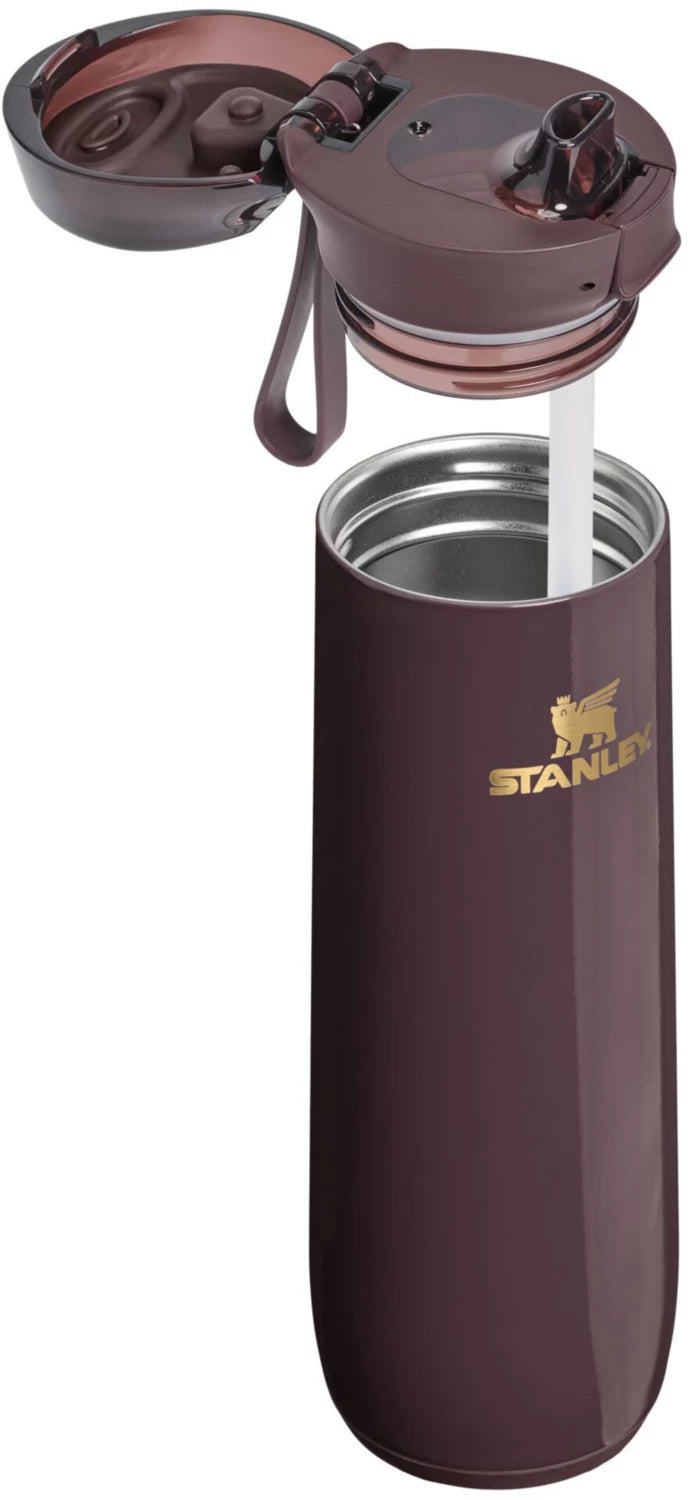 Stanley 20 oz. Flowstate Spring Bottle - Fall Refresh