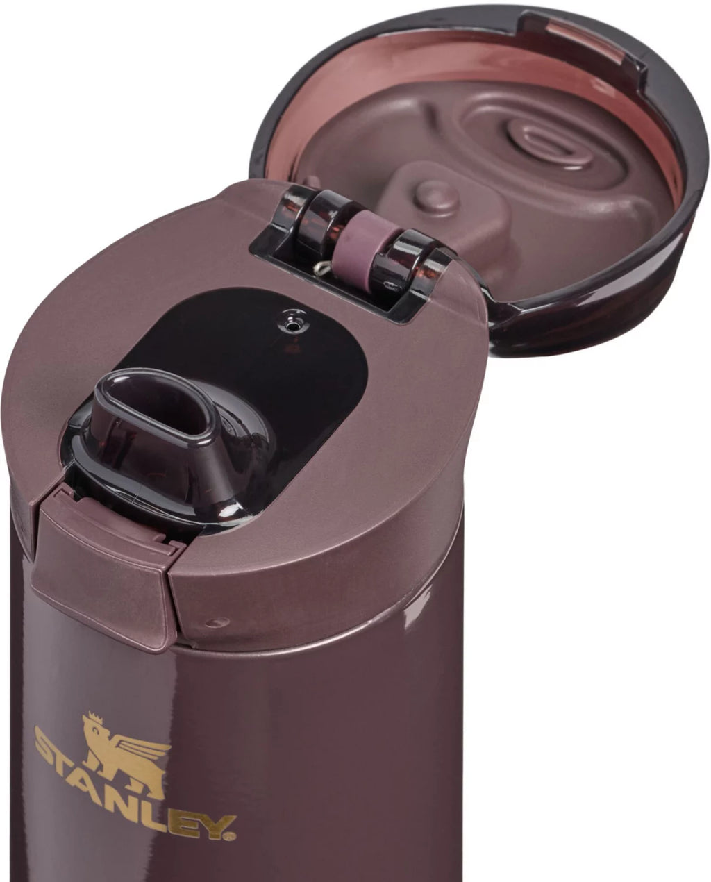 Stanley 20 oz. Flowstate Spring Bottle - Fall Refresh
